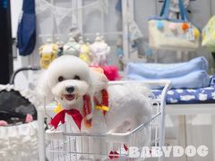 -BABYDOG宝贝狗宠物乐园(欧洲城店)