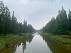 -黄海国家森林公园