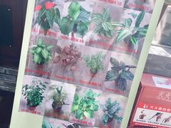-汤山翠谷生态餐厅