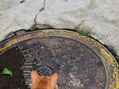 -Again Coffee Roaster(香蜜湖店)