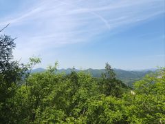 -府君山公园