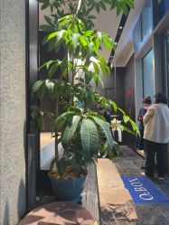 -欧兔博士·O2BOX微高压氧舱