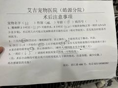 -艾吉宠物医院·疑难杂症转诊中心·猫友好(碧江路院)