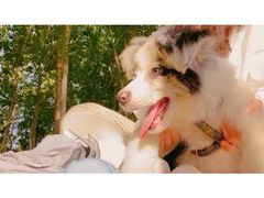 -天津武清北运河郊野公园房车露营地