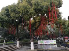 -常州古运河南大街文化旅游区-人民公园