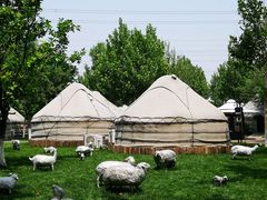 -九十九顶毡房(阜石路店)