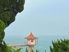 -小麦岛公园
