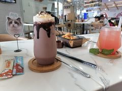 -喵园·猫主题咖啡厅·撸猫·猫咖(国贸店)