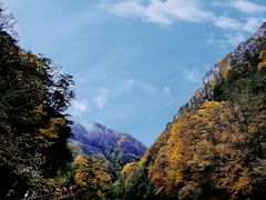 -光雾山旅游景区