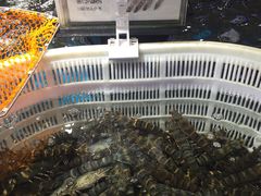 -盒马鲜生(岭南新世界店)