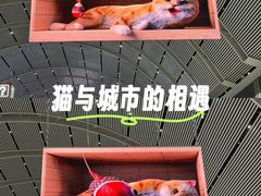 -沈阳站
