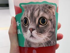 -纳吉亚猫专科动物诊疗中心(蒋宅口分院)