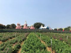 -松山湖南湖湾露营营地