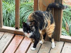 -上海怡沁园度假酒店