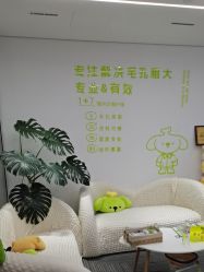 -凡碧诗毛孔清洁收细