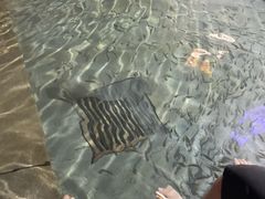 -咸宁万豪温泉谷度假区