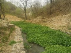 -白水寺森林公园