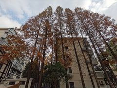 景观位-一尺花园(安和花园店)