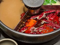 -巴奴毛肚火锅(龙湖锦艺城店)