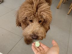 -好利来(团结湖店)