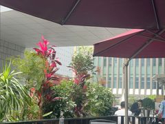 -THE WOODS 简餐 (国贸商城店)