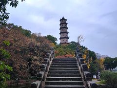 -江心屿景区