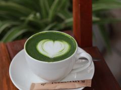 抹茶拿铁-Rainforest