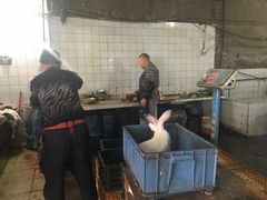 -温江公平红烧兔(总店)