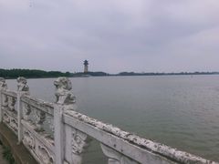 景点-溱湖国家湿地公园