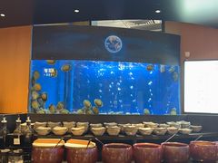 -炉角·鲍鱼牛腩煲(国贸商城店)