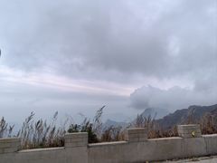 -白草畔自然风景区