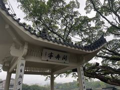 -江心屿景区