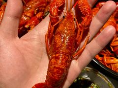 -李双猪·小龙虾·烧烤·羊肉煲(乐山店)