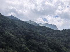 -秦岭风景区