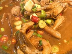 -全乐鱼馆·淳牌有机鱼直营店