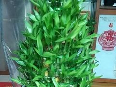 -静沐人生养生馆(佳宁娜分店)