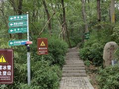 -紫金山山顶公园