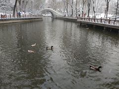 -迎泽公园