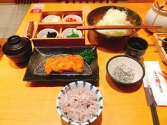 -胜博殿日式炸猪排(西红门店)