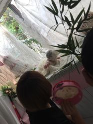 -BabyA 专业婴童摄影(古北时尚广场店)