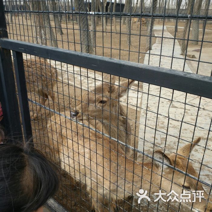 淮安市生態動物園