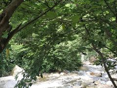 -少华山国家森林公园