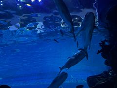 -华夏文旅西安度假区