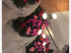 -浅深Cheersum(曹杨店)