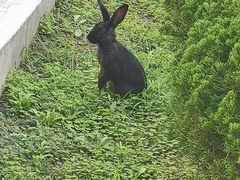 -同里湖大饭店-怡景轩中餐厅(同里古镇店)