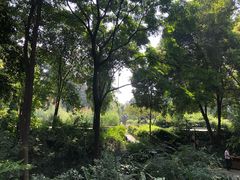 -成都市活水公园