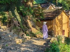 -杨家堂村