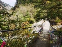 -青峰峡国家森林公园