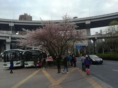 -南外滩