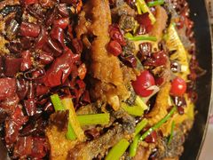 -老板恋上鱼(恒隆广场店)